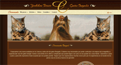 Desktop Screenshot of coramonte.com